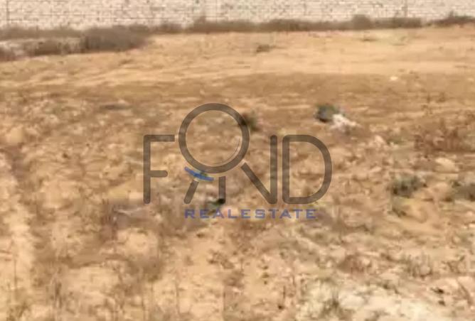 8425698 - Property Image 2