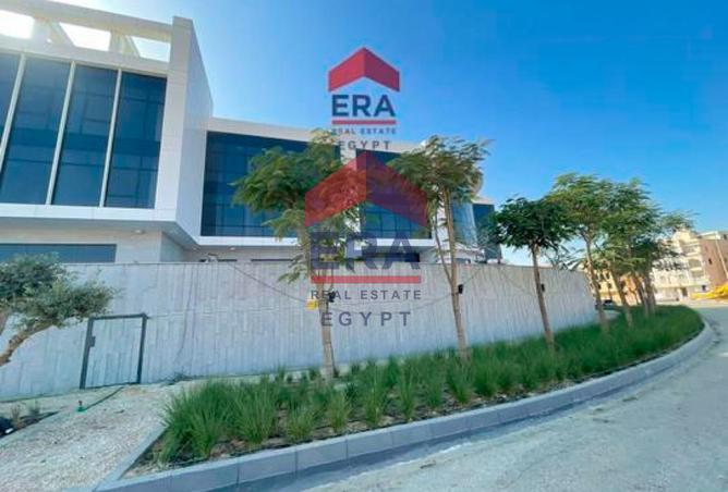 7761499 - صورة العقار 2