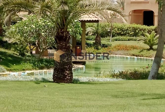 8487261 - صورة العقار 2