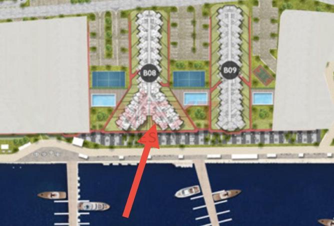 8088770 - Property Image 2