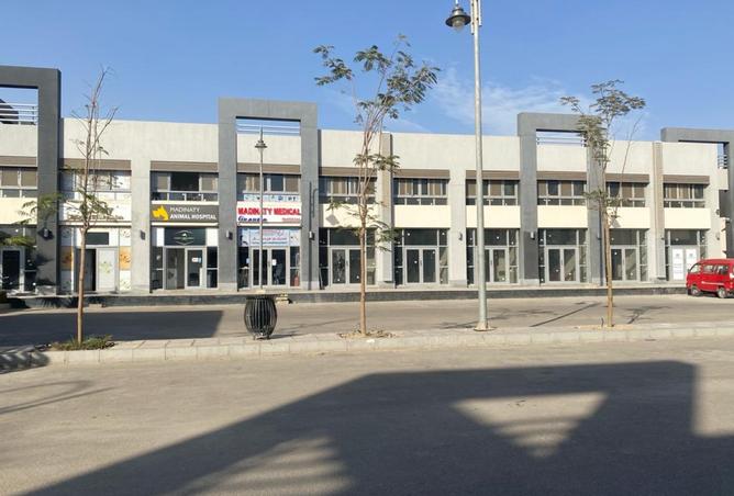 7884561 - صورة العقار 3