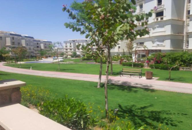 8063802 - Property Image 3