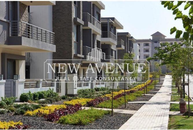 8275611 - Property Image 3