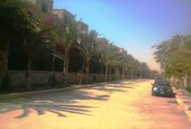 8442995 - Property Image 3