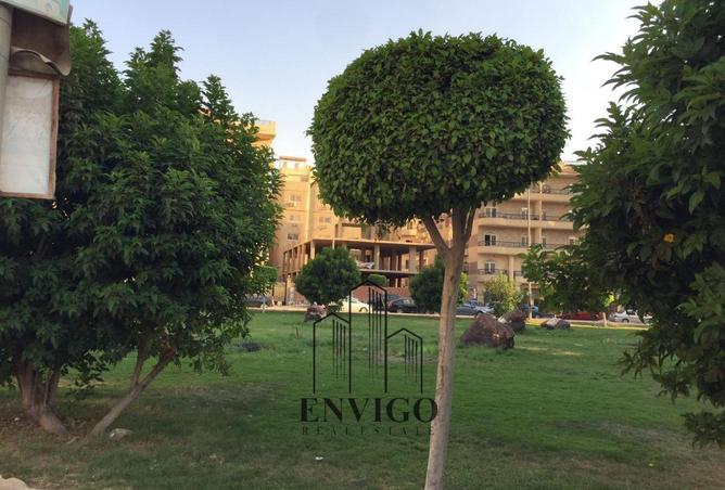 8164338 - الصورة الرئيسية للعقار