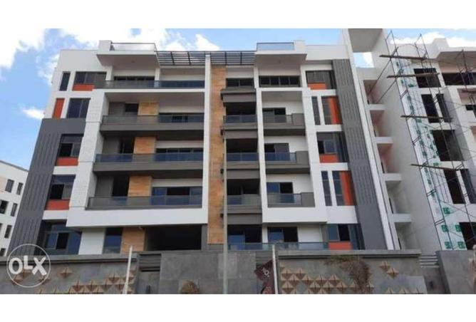 8324187 - Property Image 2