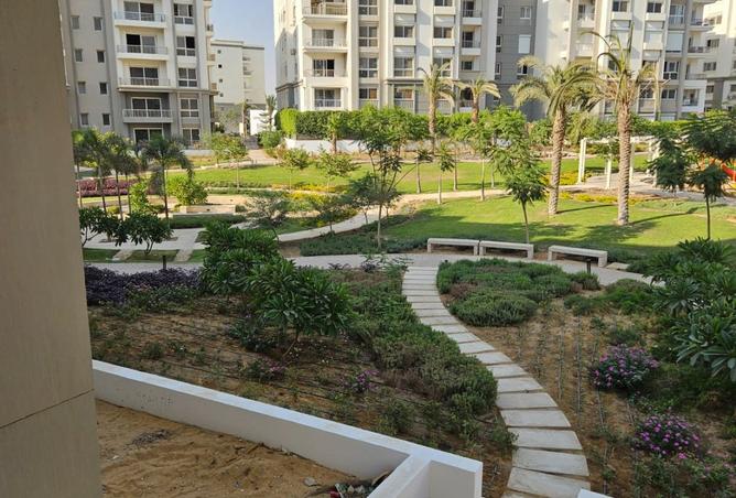 8216291 - Property Image 2