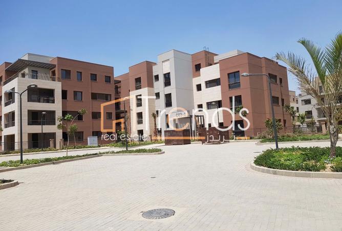 8437181 - Property Image 3