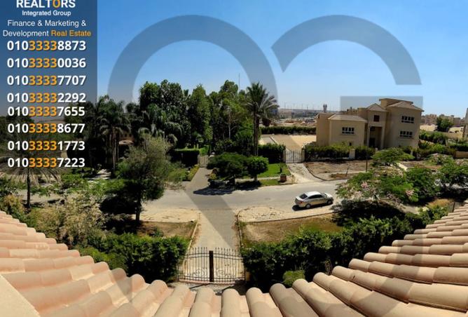 8161426 - Property Image 3