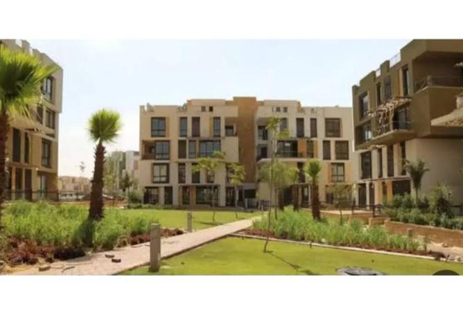 8127053 - Property Image 3