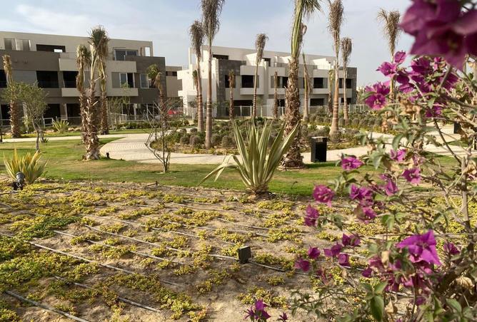 8484387 - Property Image 3