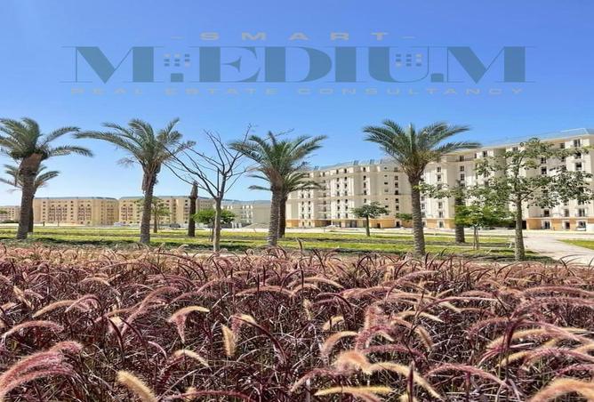 5602870 - صورة العقار 3