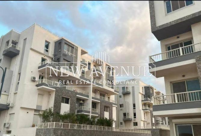 8164084 - صورة العقار 2