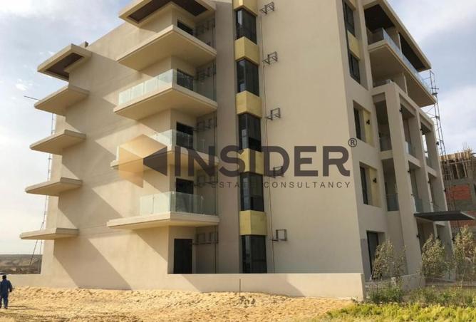 8437299 - Property Image 3