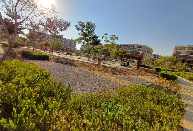 8295697 - Property Image 3