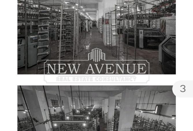 8162540 - صورة العقار 2