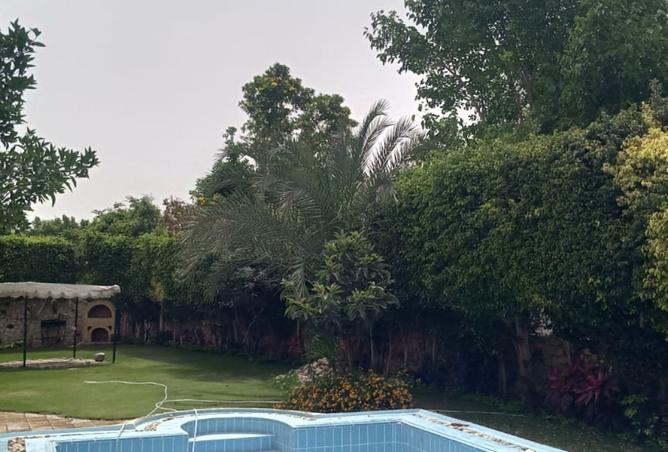 7913144 - صورة العقار 2