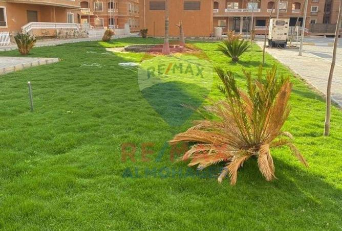 8130782 - Property Image 3