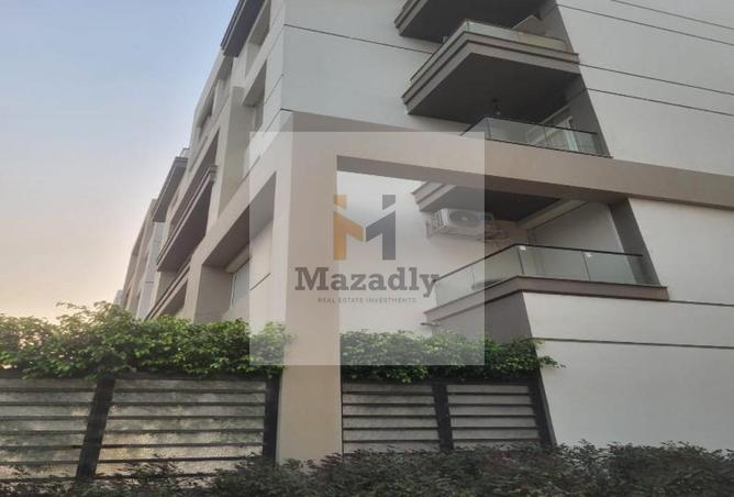 8369421 - Property Image 3