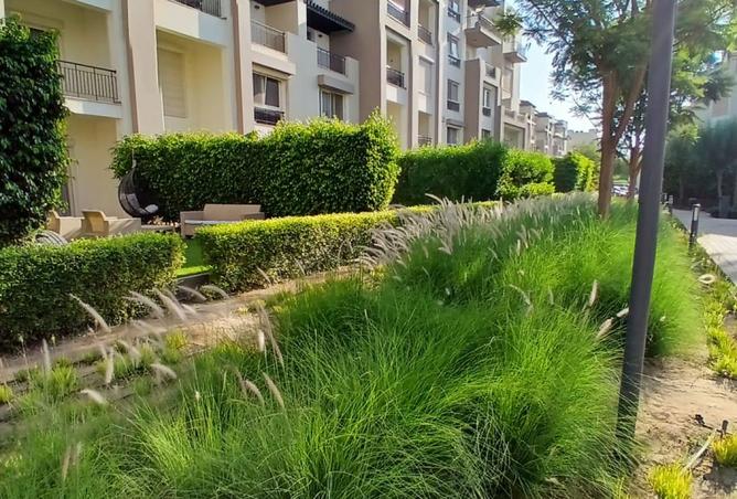 8162474 - صورة العقار 2