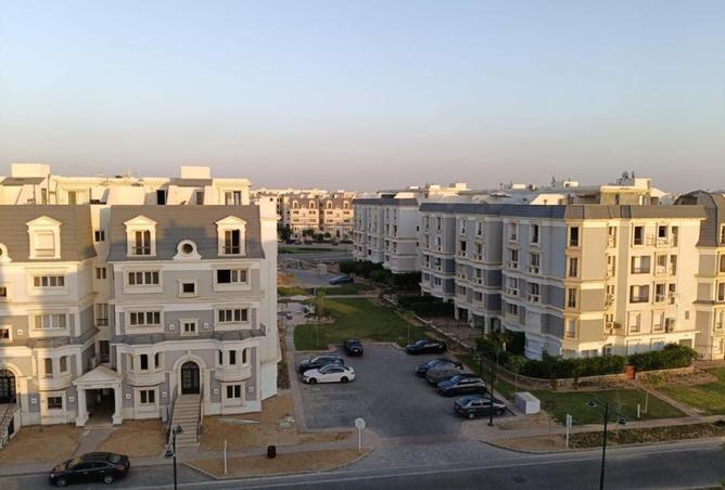 8241126 - صورة العقار 3