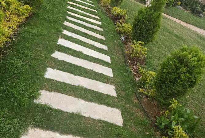 8078960 - صورة العقار 3