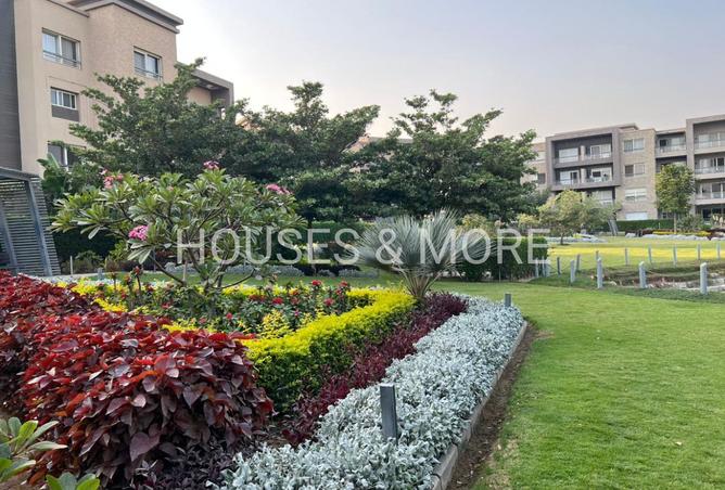 8263263 - Property Image 2