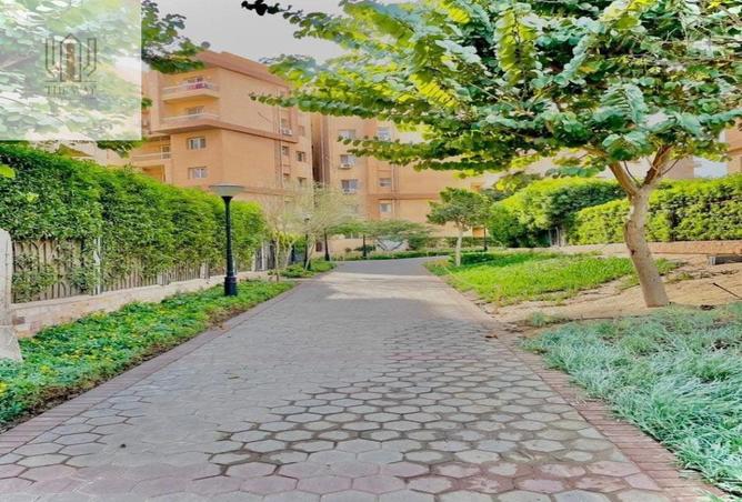 8217372 - صورة العقار 3