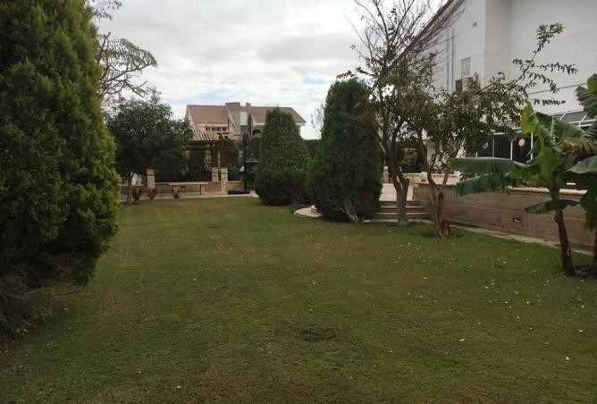 8411971 - صورة العقار 3