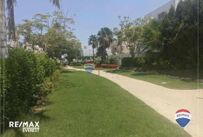 8479806 - صورة العقار 3