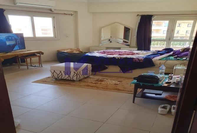 7904429 - Property Image 2
