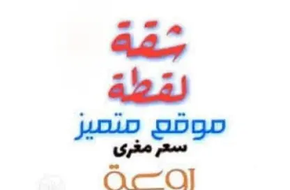Apartment - 3 Bedrooms - 2 Bathrooms for sale in El Motamayez District - Badr City - Cairo