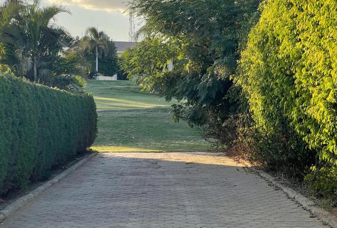 8370400 - صورة العقار 2