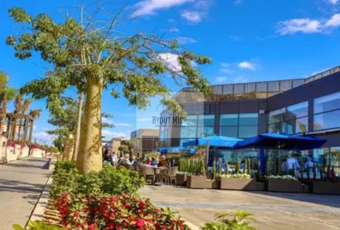 8392238 - صورة العقار 3