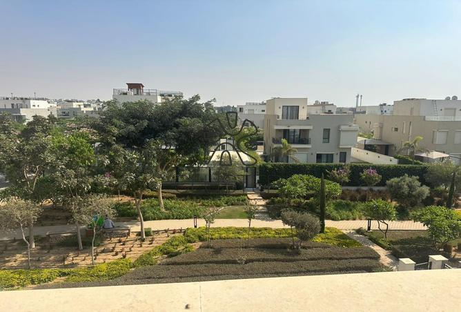 7974834 - Property Image 3