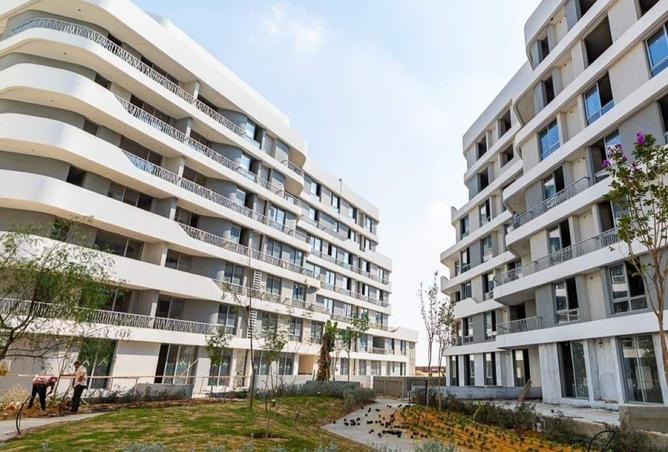 8485843 - Property Image 3