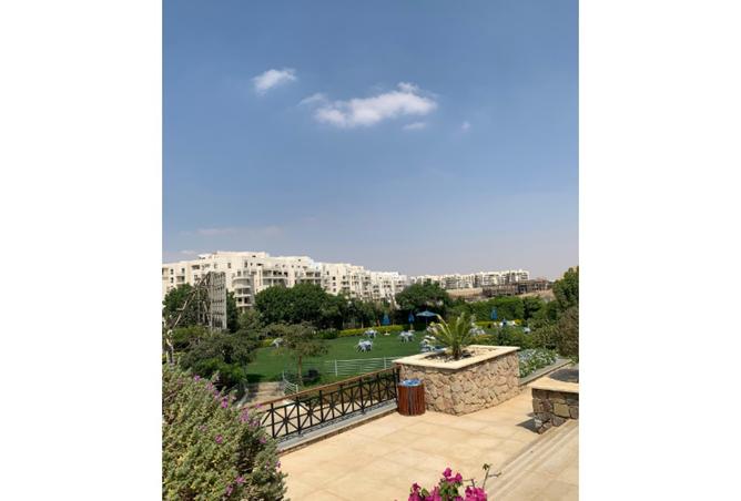 7902897 - الصورة الرئيسية للعقار