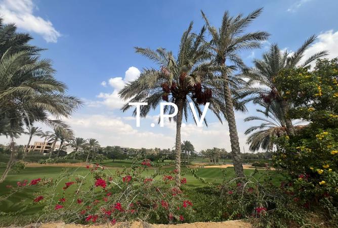 8139804 - صورة العقار 3