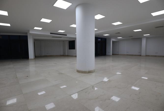 8495016 - Property Image 3