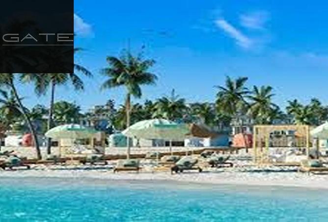 8237811 - Property Image 3