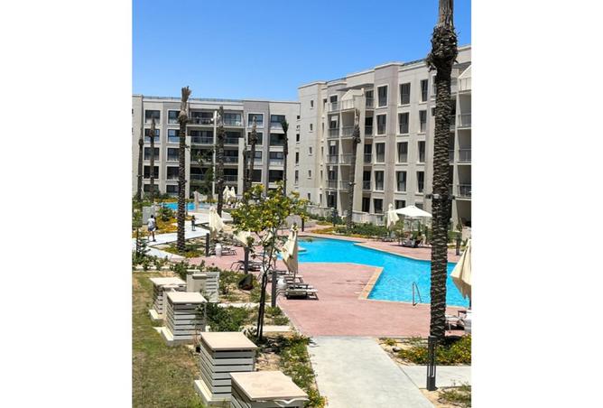 8490141 - Property Image 3