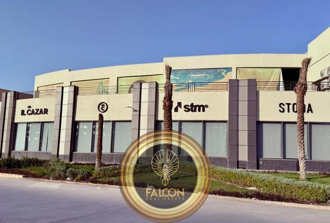 8401428 - Property Image 3