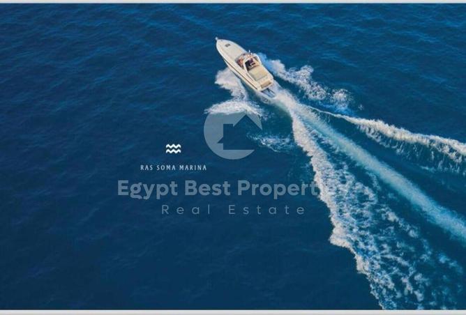 8124978 - صورة العقار 3