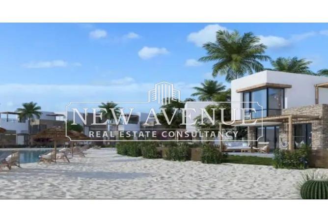 8197443 - Property Image 3