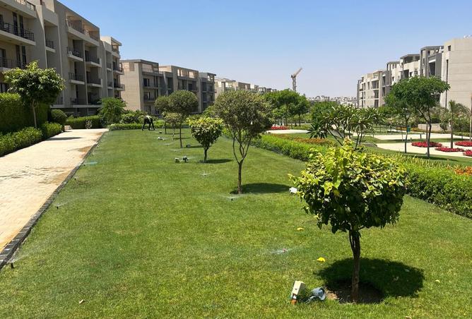 8213813 - Property Image 2