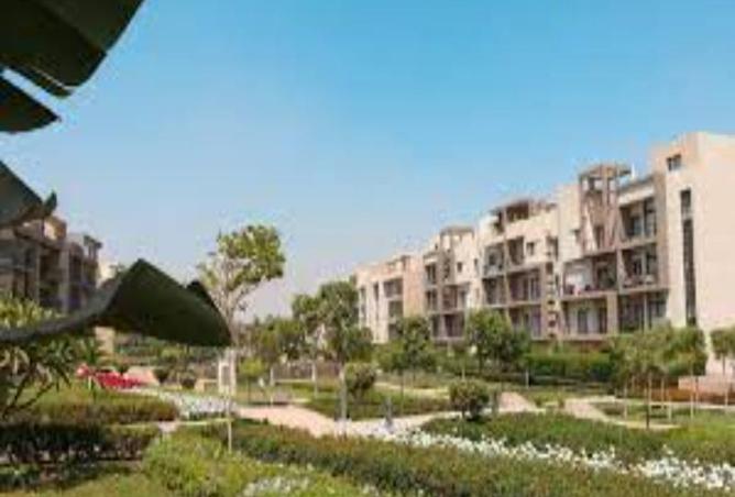 8014319 - Property Image 3