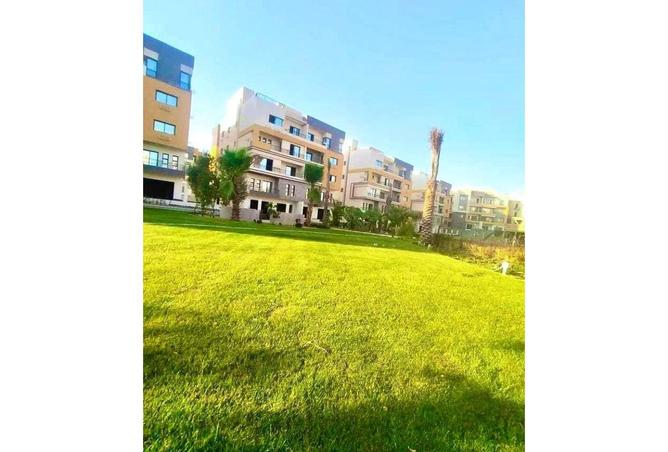 8186118 - Property Image 2