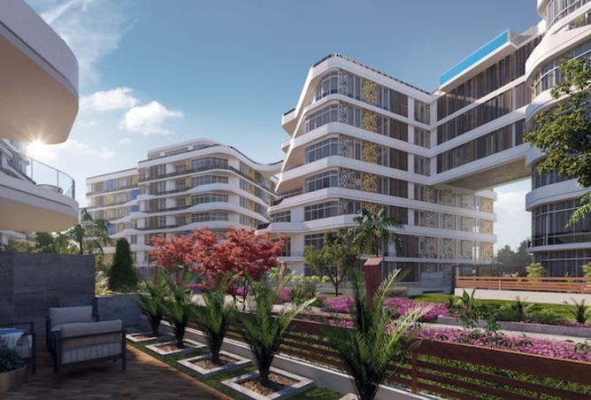8007526 - Property Image 2