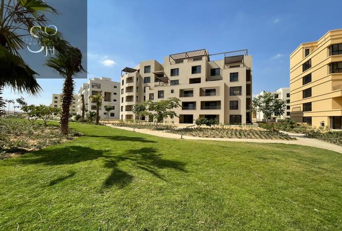 7987582 - Property Image 3