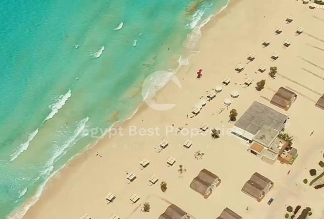 7945938 - صورة العقار 3